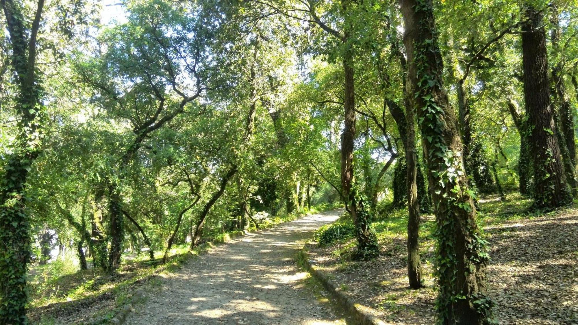 Covelo Apartment Πόρτο Εξωτερικό φωτογραφία
